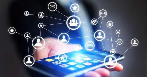 475.6億消費揭示五一出游新風向 七成游客省內游，預約制成主流